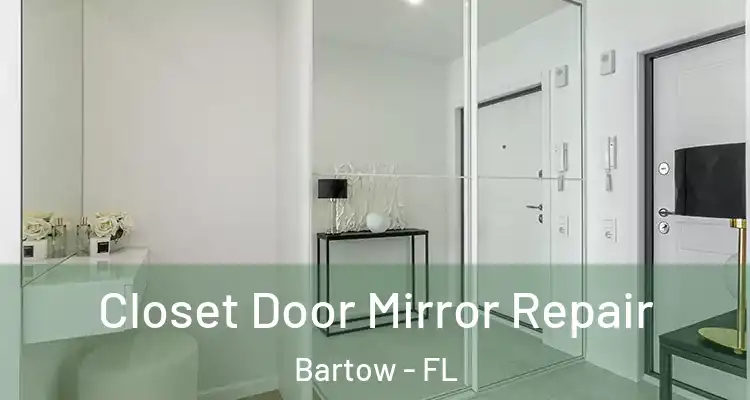  Closet Door Mirror Repair Bartow - FL