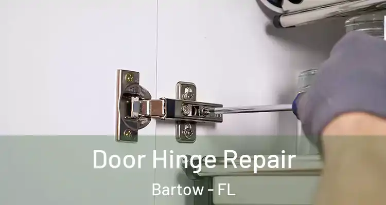  Door Hinge Repair Bartow - FL