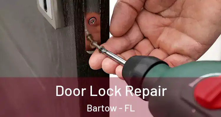  Door Lock Repair Bartow - FL