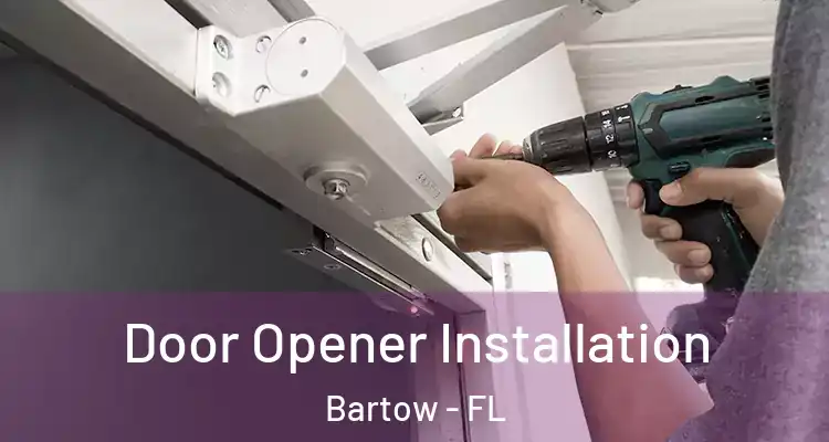  Door Opener Installation Bartow - FL