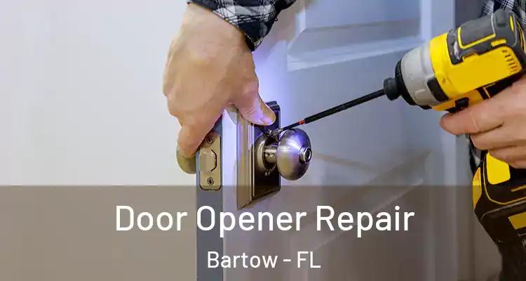  Door Opener Repair Bartow - FL