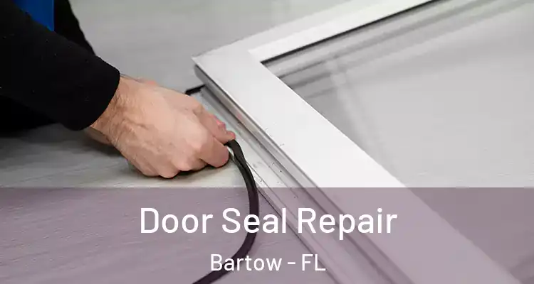  Door Seal Repair Bartow - FL