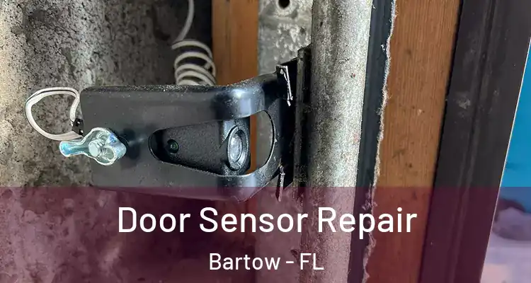  Door Sensor Repair Bartow - FL