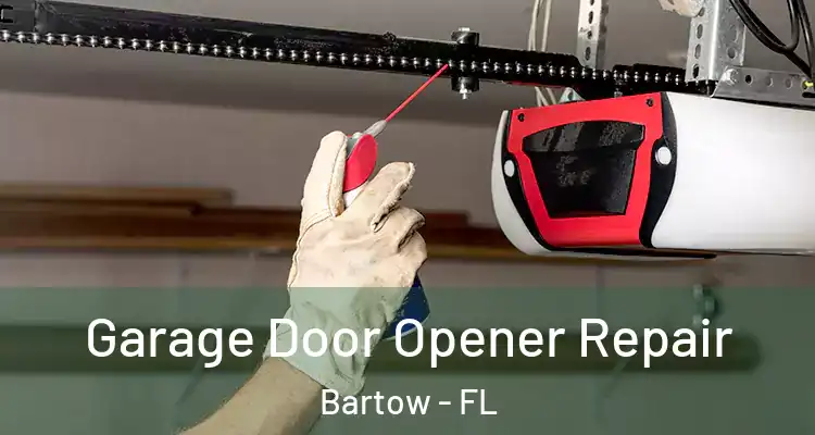  Garage Door Opener Repair Bartow - FL