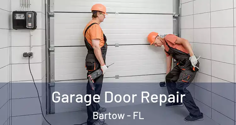  Garage Door Repair Bartow - FL