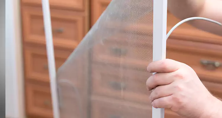 Privacy Mesh Screen Door Installation in Bartow, FL