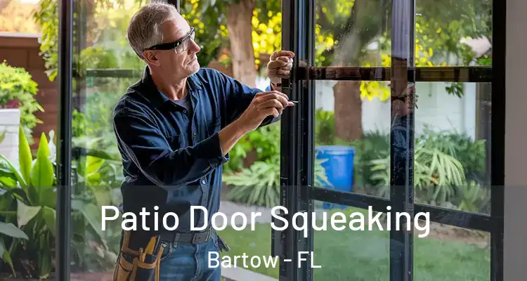  Patio Door Squeaking Bartow - FL