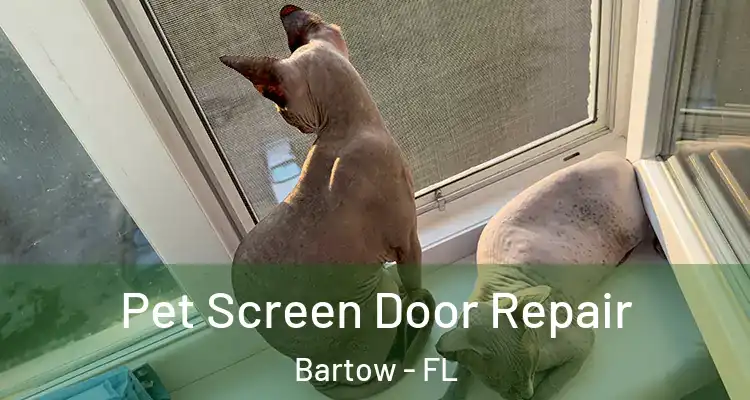  Pet Screen Door Repair Bartow - FL