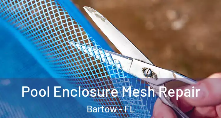  Pool Enclosure Mesh Repair Bartow - FL