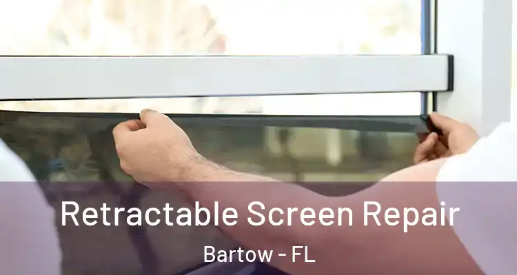  Retractable Screen Repair Bartow - FL