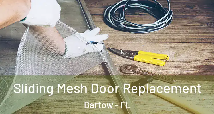  Sliding Mesh Door Replacement Bartow - FL