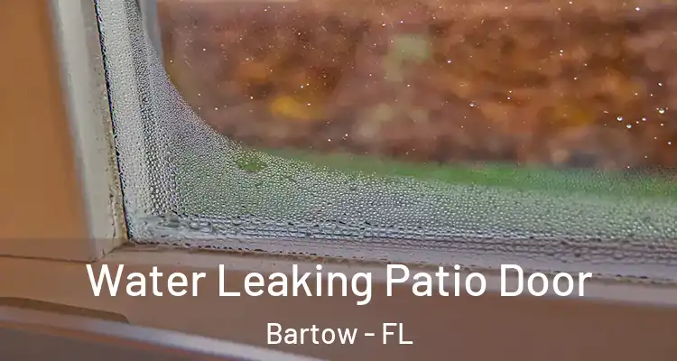  Water Leaking Patio Door Bartow - FL