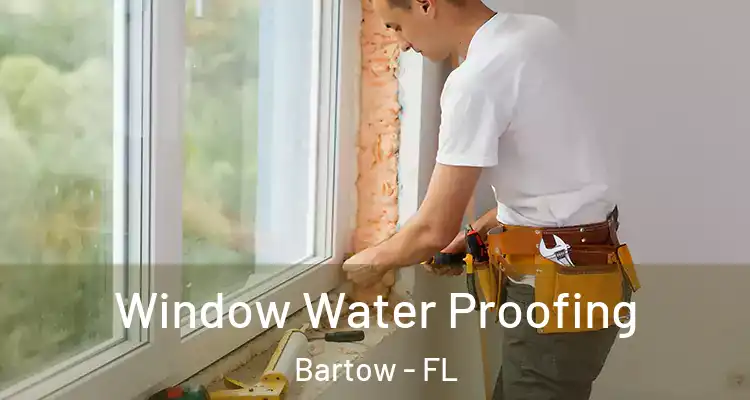  Window Water Proofing Bartow - FL