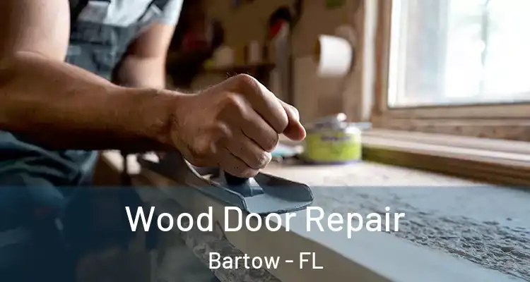  Wood Door Repair Bartow - FL